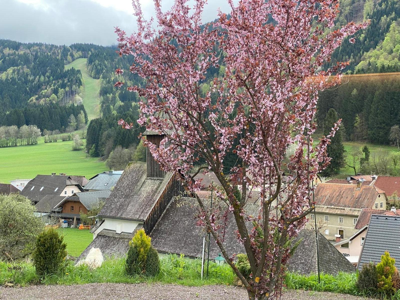 Ferienhaus Kramser Arnoldstein Exteriér fotografie
